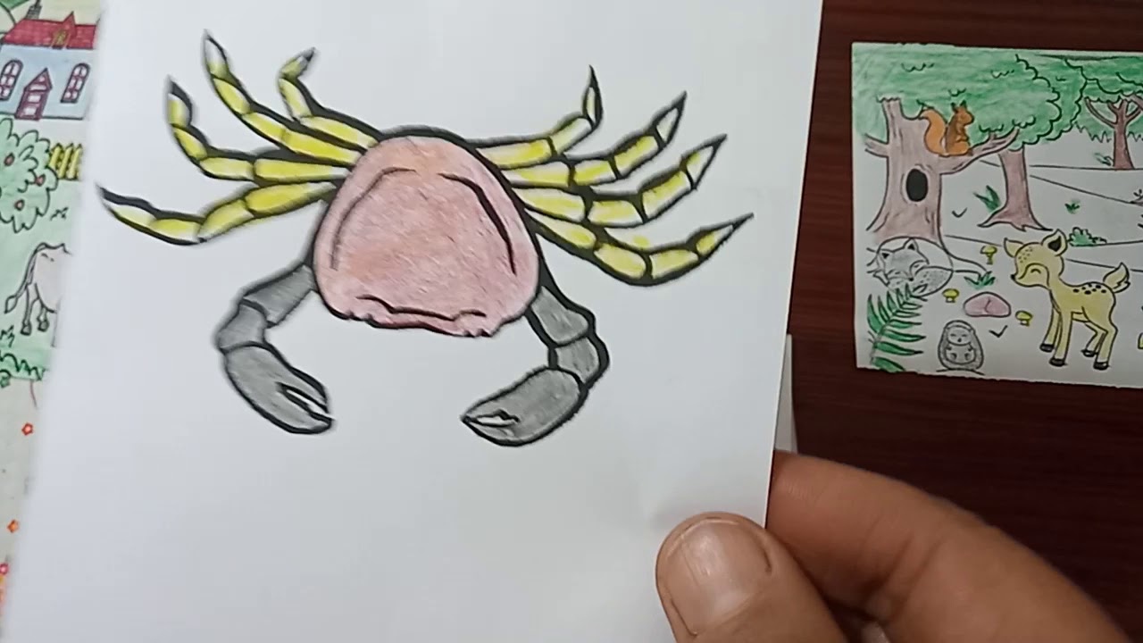 تربية علمية 48. الحيوانات (2) قسم التحضيري. Classe préparatoire