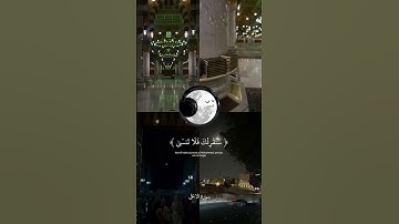 سورة الاعلى #عبدالرحمن_مسعد #ارح_قلبك #قرآن #قران_كريم