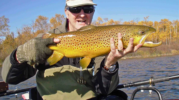 Trophy Trout in Stillwaters | Russell Inn Manitoba