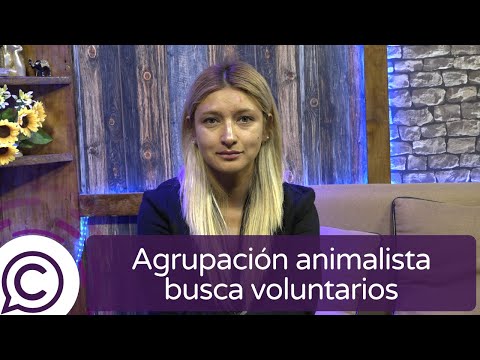 Agrupación ONG Pro Vida Grandulón busca voluntarios en Pichilemu