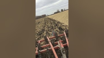 Allis 7050 and 7030 (Part 2)