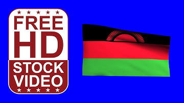 Free Stock Videos – Malawi flag waving on blue screen 3D animation
