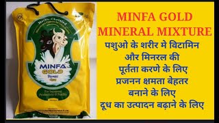Minfa Gold | Minfa Gold Mineral Mixture | पशुओ मै होनेवाले फायदे | पुरी जानकारी हिंदी मे |