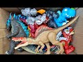 Hunting Dinosaur Jurassic World Toy In The Box ASMR Review