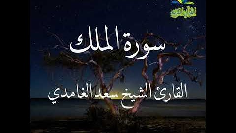 تلاوة خاشعة للقارئ الشيخ سعد الغامدي # سورة الملك