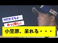 【中日】小笠原、味方のチャンスなのに地獄のような表情をしてしまう・・・