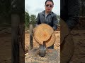 madera tronco