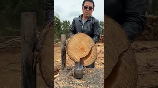 madera tronco