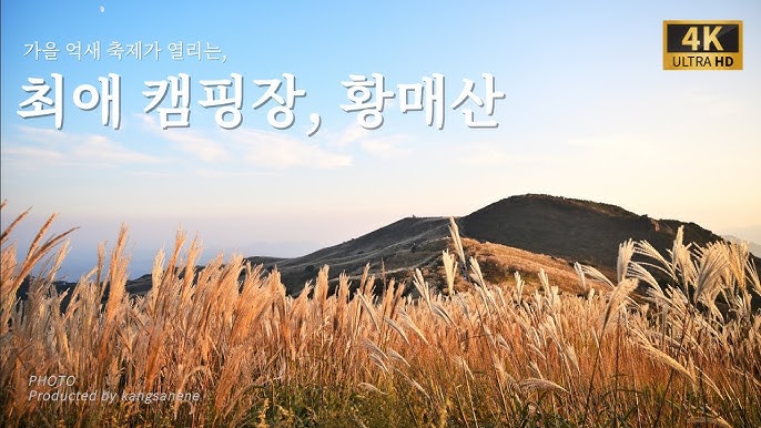 이미지 미리보기