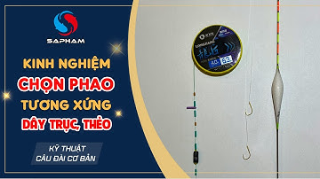 KỸ THUẬT CÂU ĐÀI CƠ BẢN - Kinh nghiệm chọn phao tương xứng dây trục thẻo