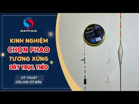 Video: Volga là nguồn. Volga - nguồn và miệng. Lưu vực sông Volga