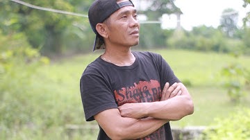 Sampling#korg #pa external