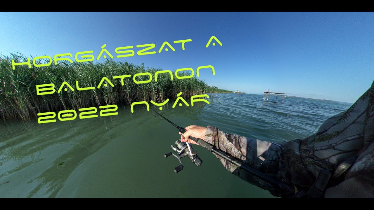 Horgászat a Balatonon partról és nádból