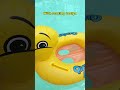 Video Image
