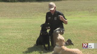 ATF Explosive Detection K-9 Officers | August 28, 2024 | News 19 at 6:30 p.m.