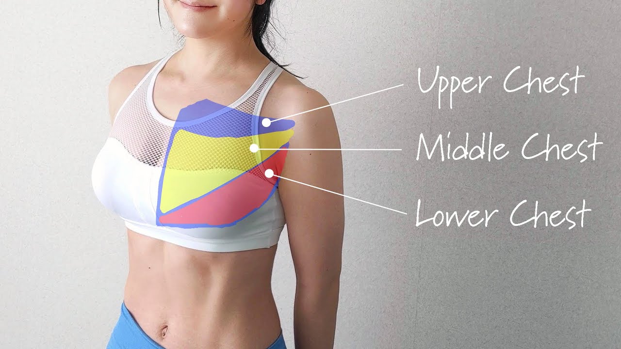 Perfect Chest Workout to Lift Breasts YouTube