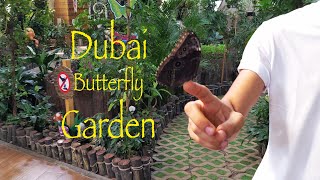 Walking in Dubai butterfly garden