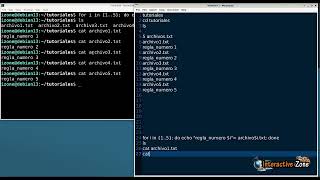 Unir archivos de texto en 1 solo con Debian 13