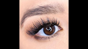 EVERYTHING YOU NEED TO KNOW ABOUT LASH EXTENSIONS