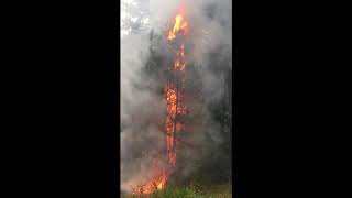 teanaway north fork fire video 2017