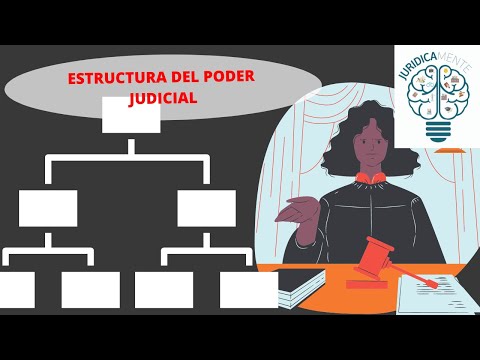 Video: ¿Cómo está organizado el sistema judicial federal?