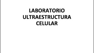LABORATORIO ULTRAESTRUCTURA CELULAR