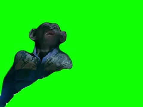 oh no monkey meme