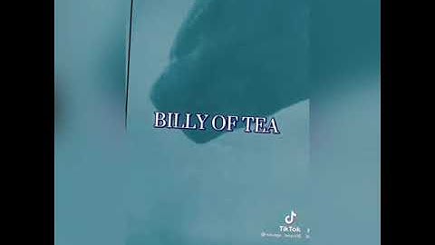 (TikTok not by me) Godzilla Wellerman