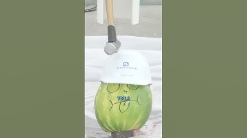 The Importance Of The Hard Hat