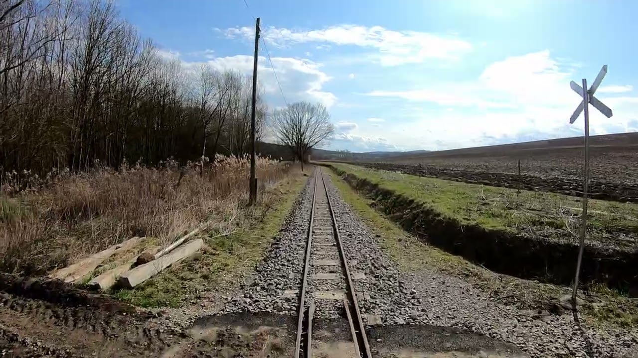 Zselici Csühögő (Nr. 308) Sasrét - Almamellék (2023) 4kup