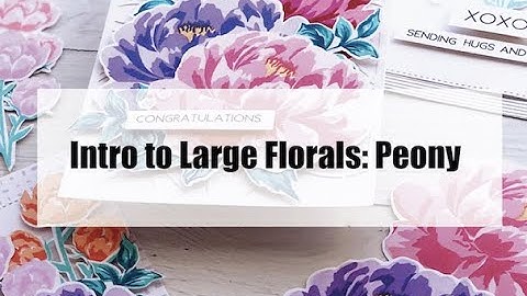 Intro: Large Florals Peony Layering Stamp Set