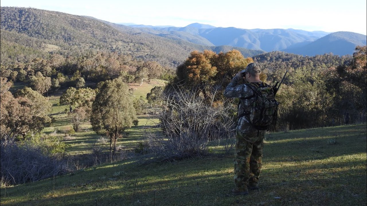 hunting trips nsw