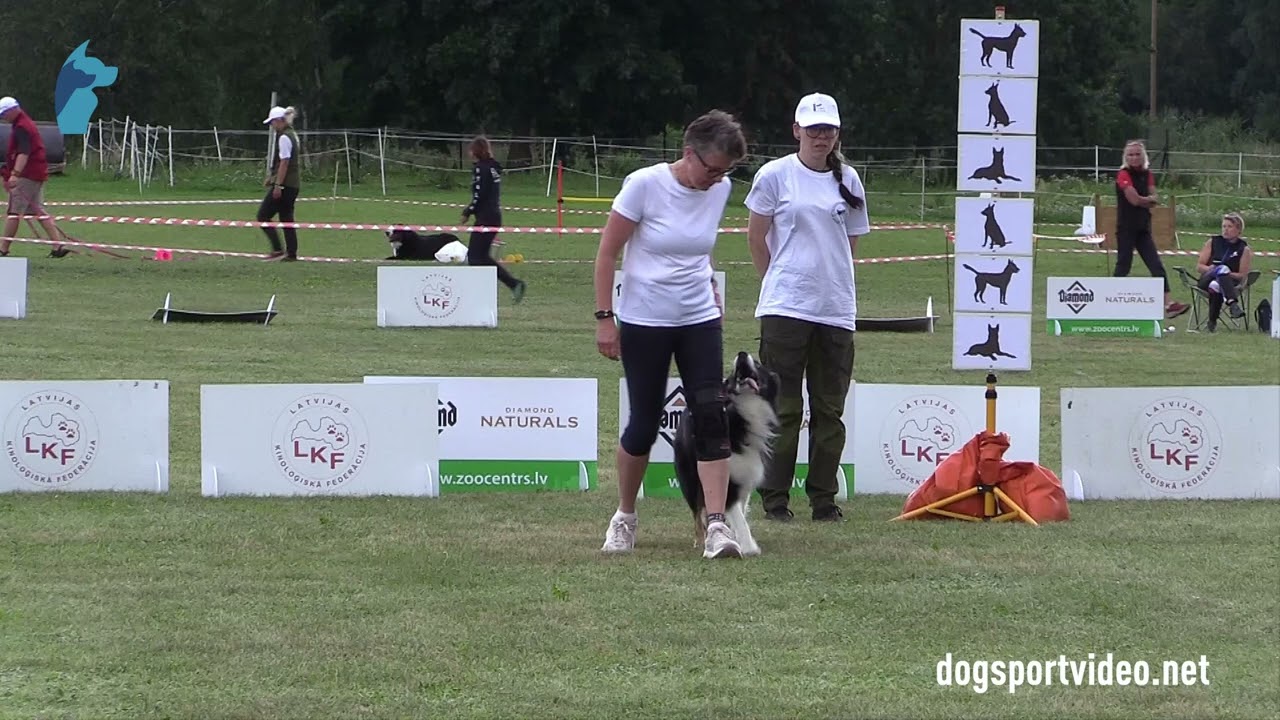 Qualifications – Christa Enqvist-Pukkila + Gingerbell Indeed A Mess / Border Collie – FINLAND