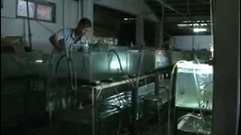 Trại Cá Đĩa Phú Khang Q12 Thành Phố Hồ Chí Minh