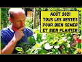 10 légumes à semer ou planter en août au potager