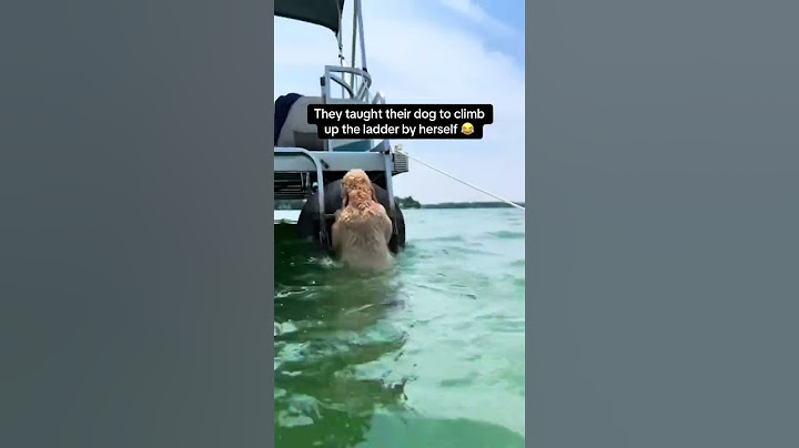 What a useful trick 😂 (via wyldeolives_/TT)