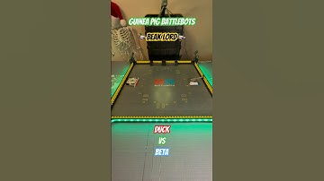 Duck vs Beta  🦆Beak Lord🦆  G.P. Battlebots  #hexbugbattlebots #hexbugvideos #battlebots #channel