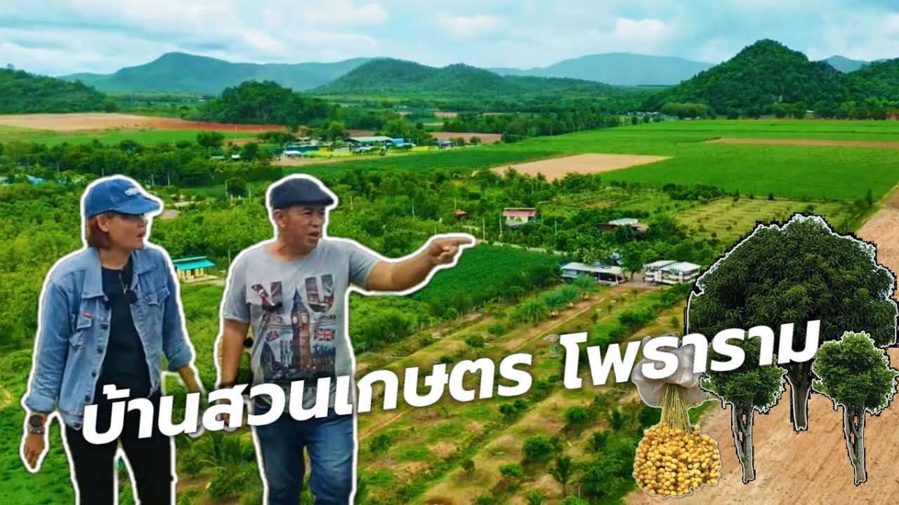 บ้านสวนเกษตรเน้นปลูกไม้กินได้ พร้อมบ้าน 2หลัง หิ้วกระเป๋าเข้าอยู่ได้เลย ทำเลดี