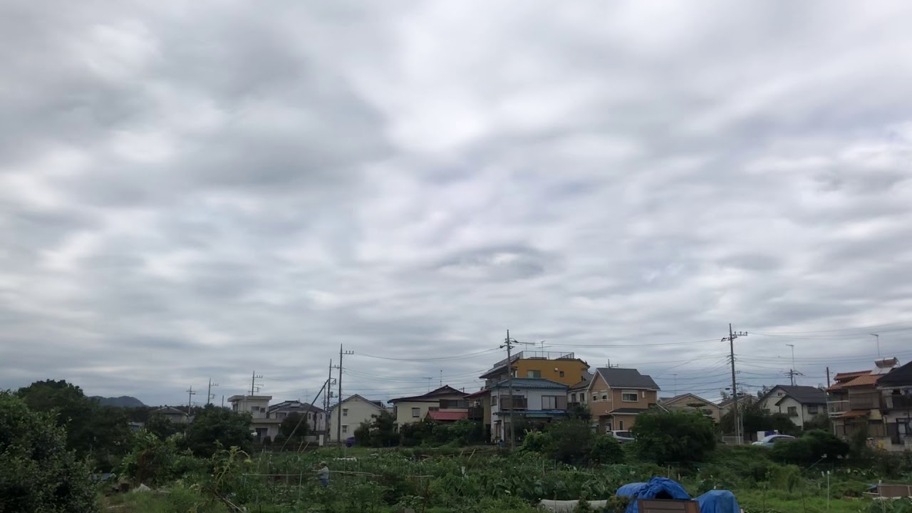 japanese pancake Is Summer Over ?