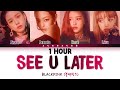 [1 HOUR] BLACKPINK (블랙핑크) - 