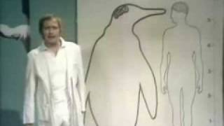 Famous Waste of Time Theory Wealth