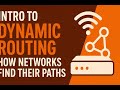 Intro to Dynamic Routing: How Networks Find Their Paths