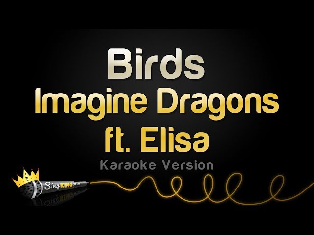 Imagine Dragons ft. Elisa -  Birds (Karaoke Version) class=