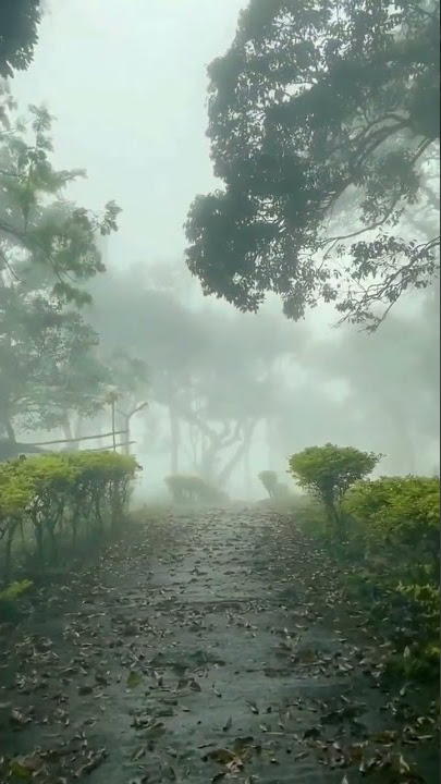 RHTDM-Rain Theme status #shorts #statusvideo #shortsfeed #shortsvideo