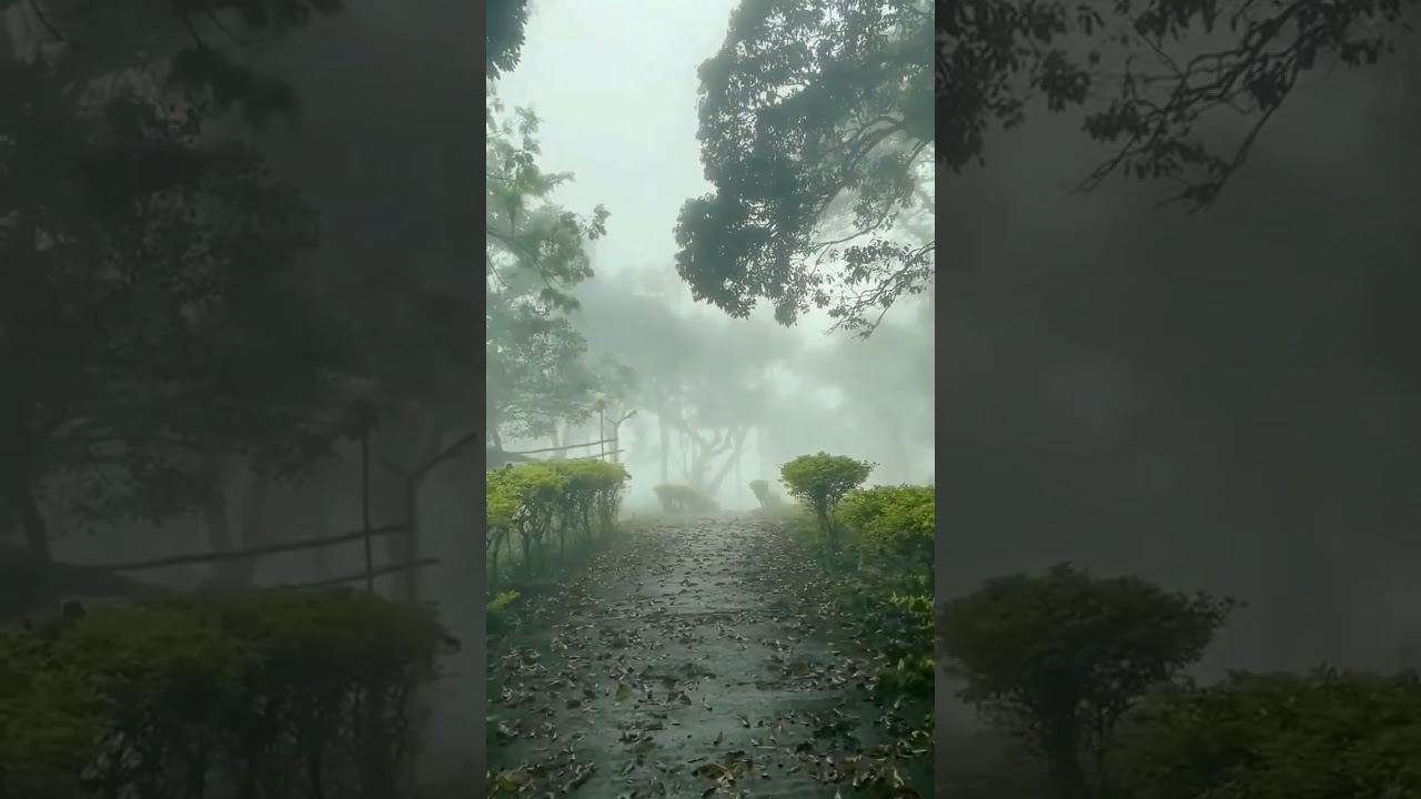  Motu Bana Daaku Best Of Motu Patlu Tv Show 2025 Hindi Full On Comedy - Hindi Status Tube