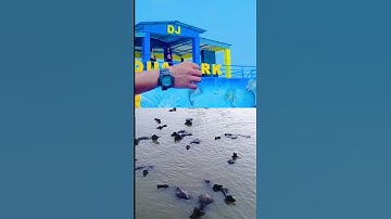Thumbnail of TITIRKHA AQUA PARK 🏞️ water park#song #music #love #dance