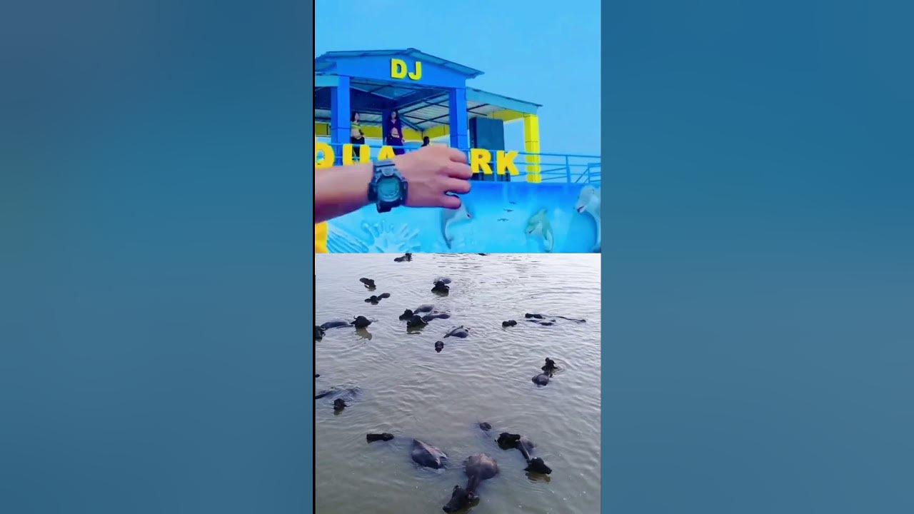 TITIRKHA AQUA PARK 🏞️ water park#song #music #love #dance TITIRKHA AQUA PARK 🏞️ water park#song #music #love #dance