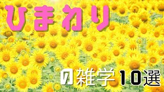 ひまわりの雑学10選 by シンプル雑学 78 views 9 months ago 3 minutes, 11 seconds