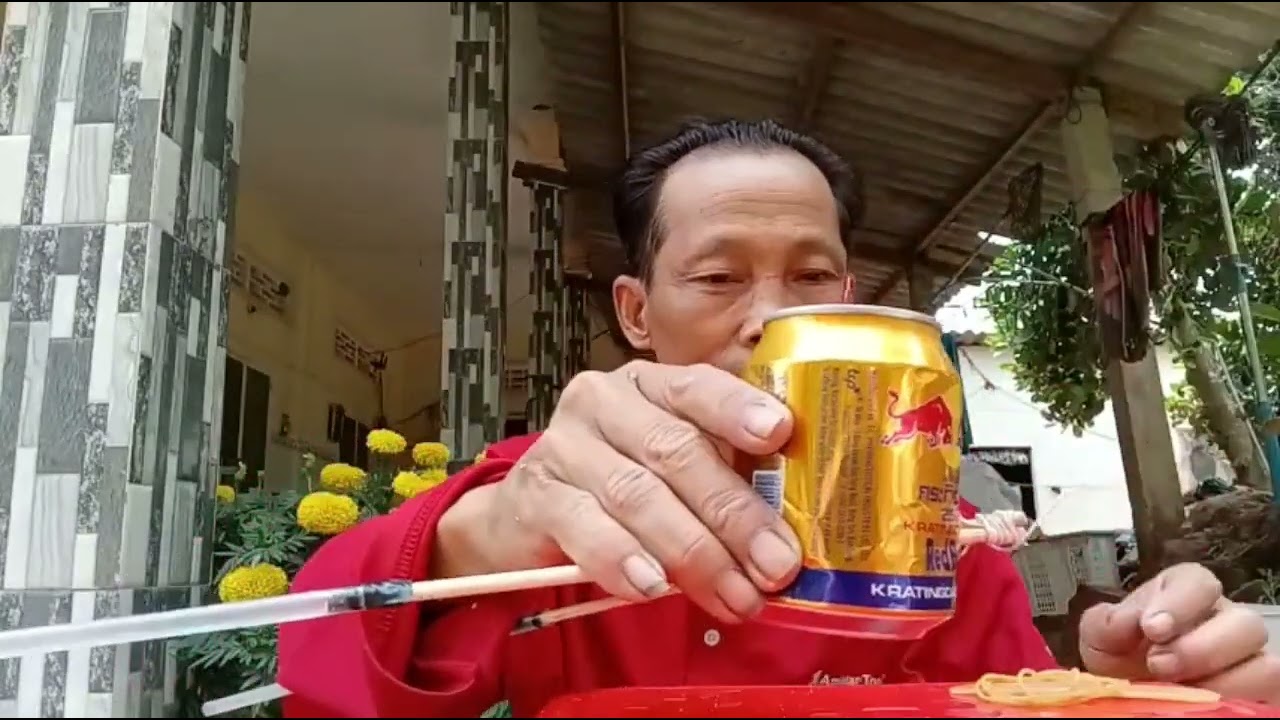 Làm thử nghiệm bo bo lon bò 🐄 ra sau