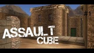 learning assault cube with bots 2vs2 | #1